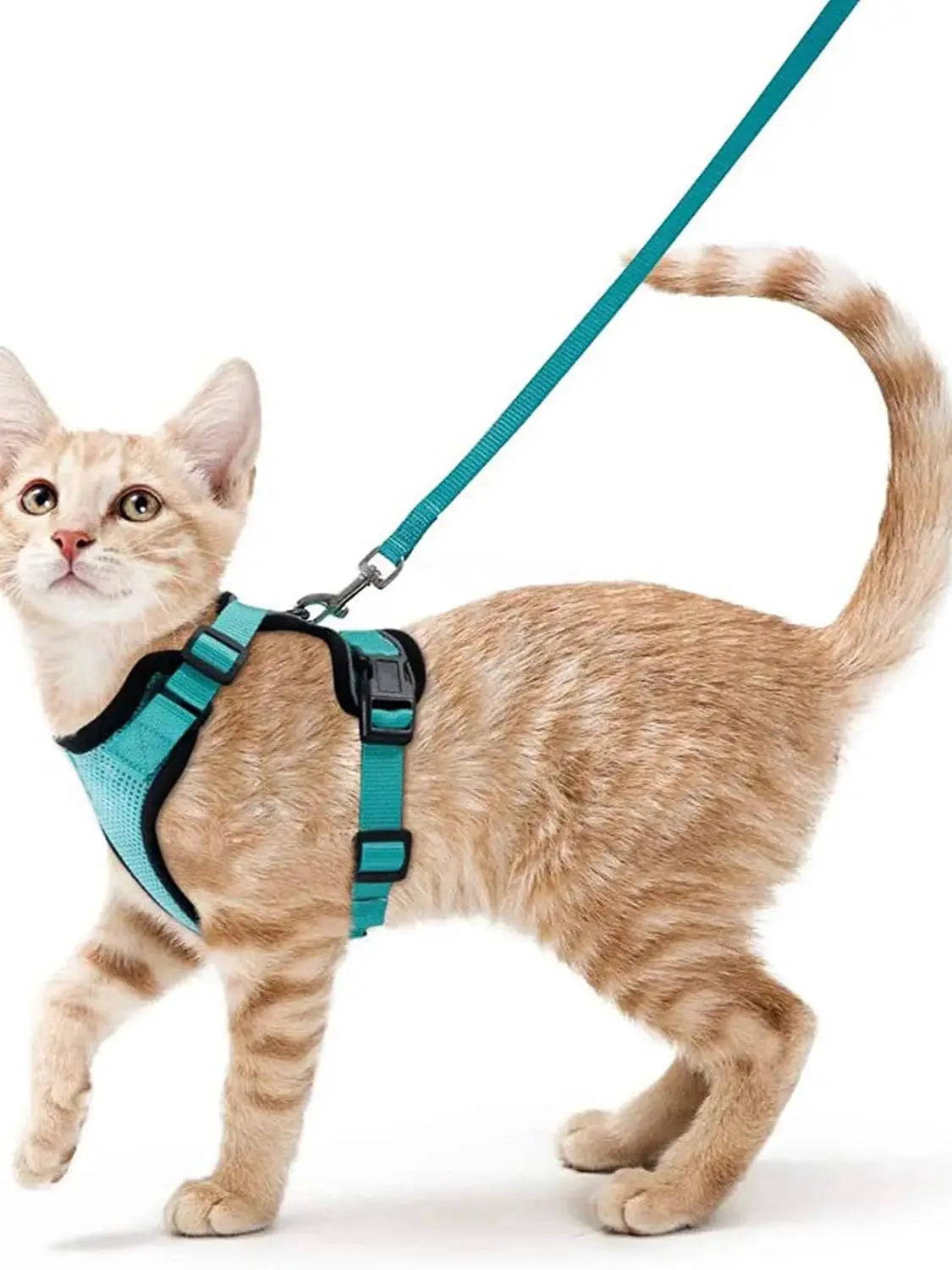 ✨ EasyControl Cat Harness – Soft Adjustable Escape-Proof Walking Vest with Leash Mary's For You