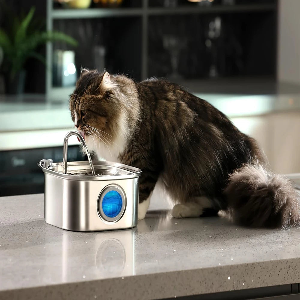 ✨ HydraPaw 3.2L Pet Fountain – Stainless Steel Auto Water Dispenser for Cats & Dogs Mary's For You