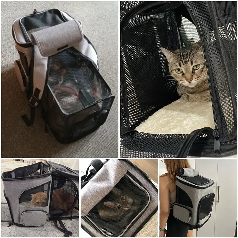 ✨ PawHaven Expandable Pet Carrier Backpack – Breathable & Foldable Travel Bag Mary's For You