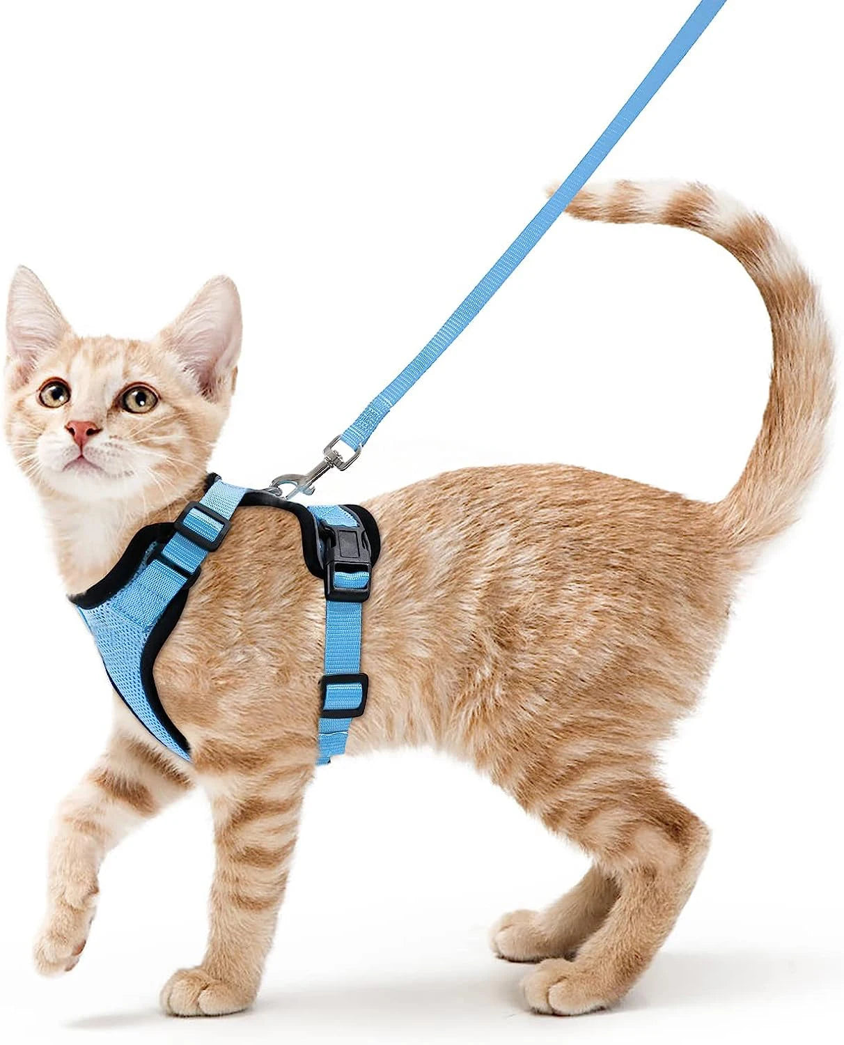 ✨ EasyControl Cat Harness – Soft Adjustable Escape-Proof Walking Vest with Leash Mary's For You