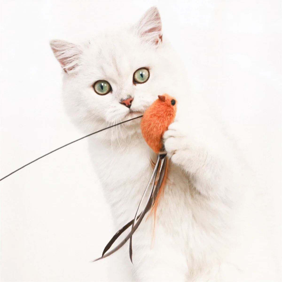 ✨ Simulated Bird Teaser Long Rod Feather Toy for Safe Cat Fun Mary's For You