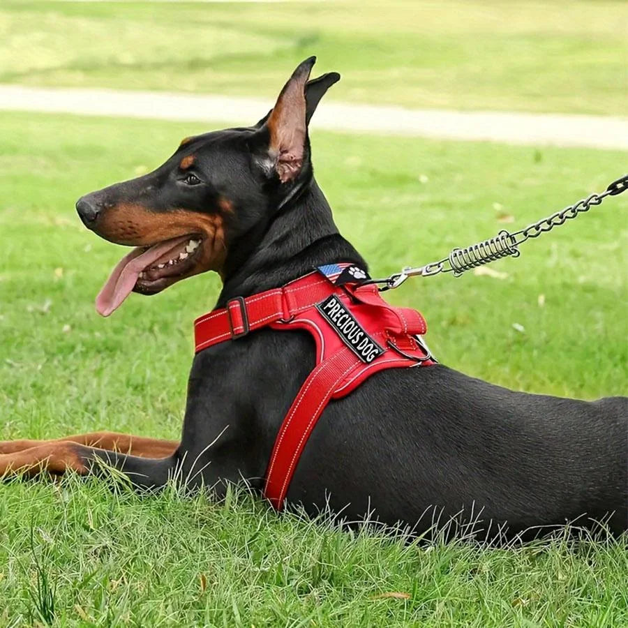 Service Dog Harness & Leash Set with 1pc Folding Bowl Reflective Adjustable Dog Vest Harness Soft Oxford Pet Harness For Small M Mary's For You