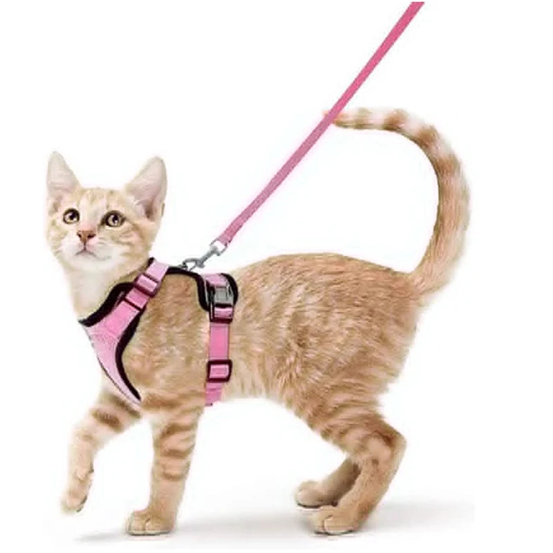 ✨ EasyControl Cat Harness – Soft Adjustable Escape-Proof Walking Vest with Leash Mary's For You
