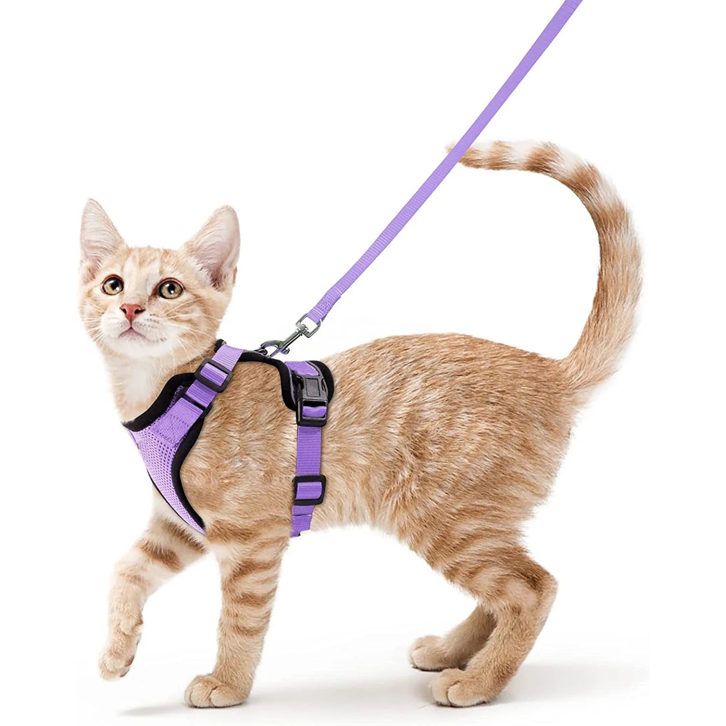 ✨ EasyControl Cat Harness – Soft Adjustable Escape-Proof Walking Vest with Leash Mary's For You