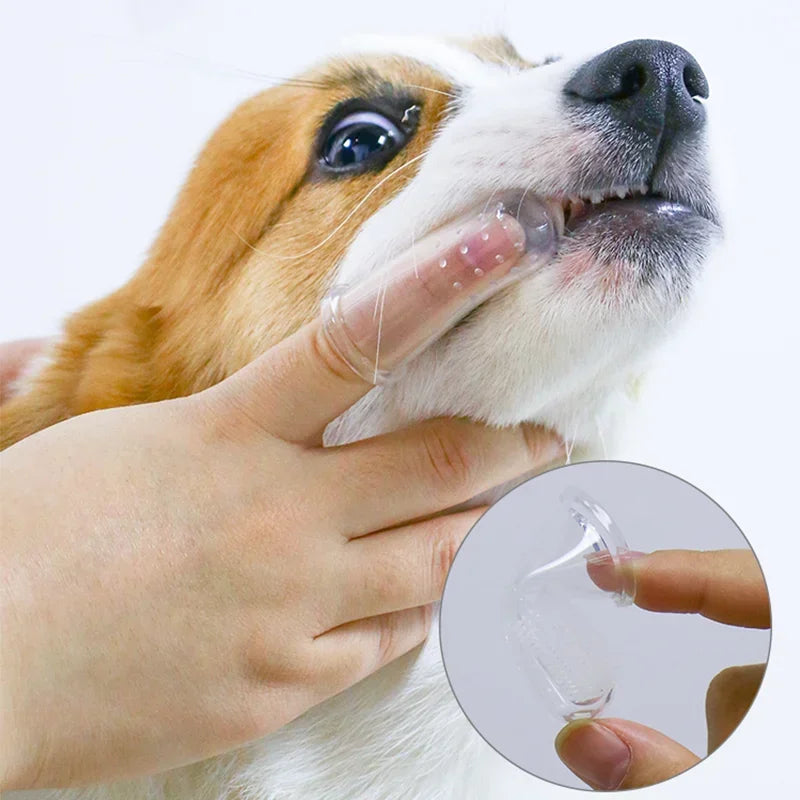 ✨ PawSmile Finger Toothbrush – Soft Silicone Dental Care for Cats & Dogs Mary's For You