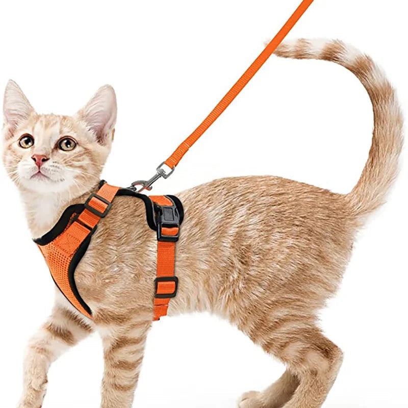✨ EasyControl Cat Harness – Soft Adjustable Escape-Proof Walking Vest with Leash Mary's For You