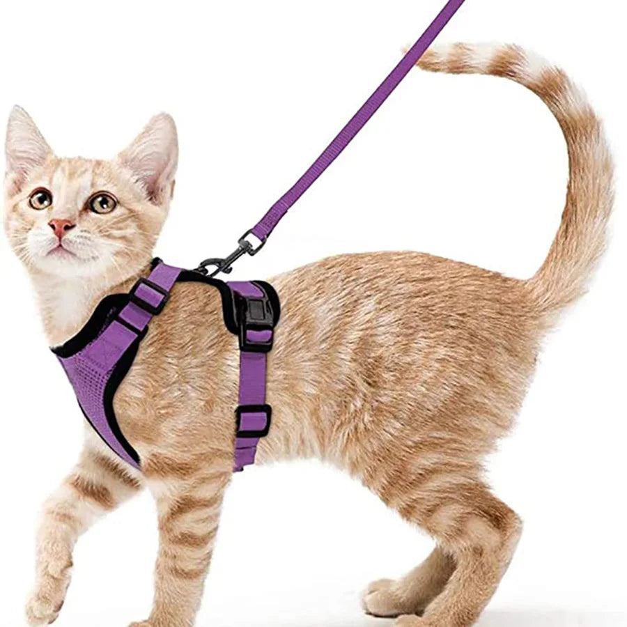 ✨ EasyControl Cat Harness – Soft Adjustable Escape-Proof Walking Vest with Leash Mary's For You