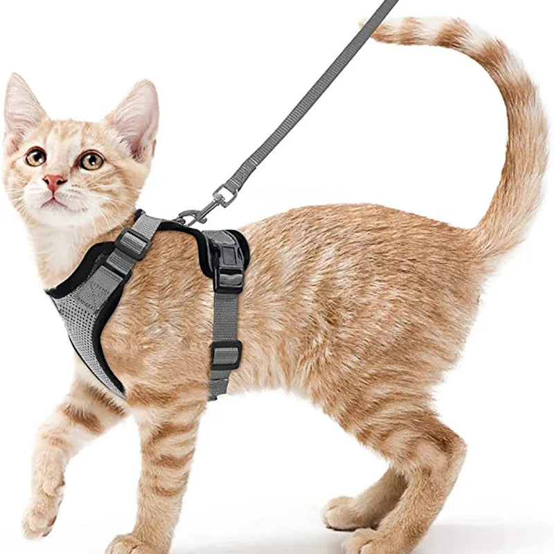 ✨ EasyControl Cat Harness – Soft Adjustable Escape-Proof Walking Vest with Leash Mary's For You