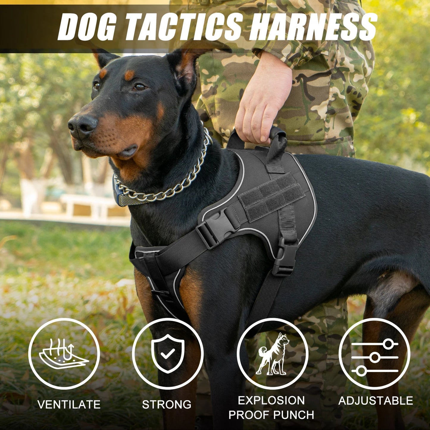 Tactical Dog Harness Pet Doberman Pinscher Pet Training Vest Dog Harness for Small Medium Large Dogs Explosion Proof Mary's For You