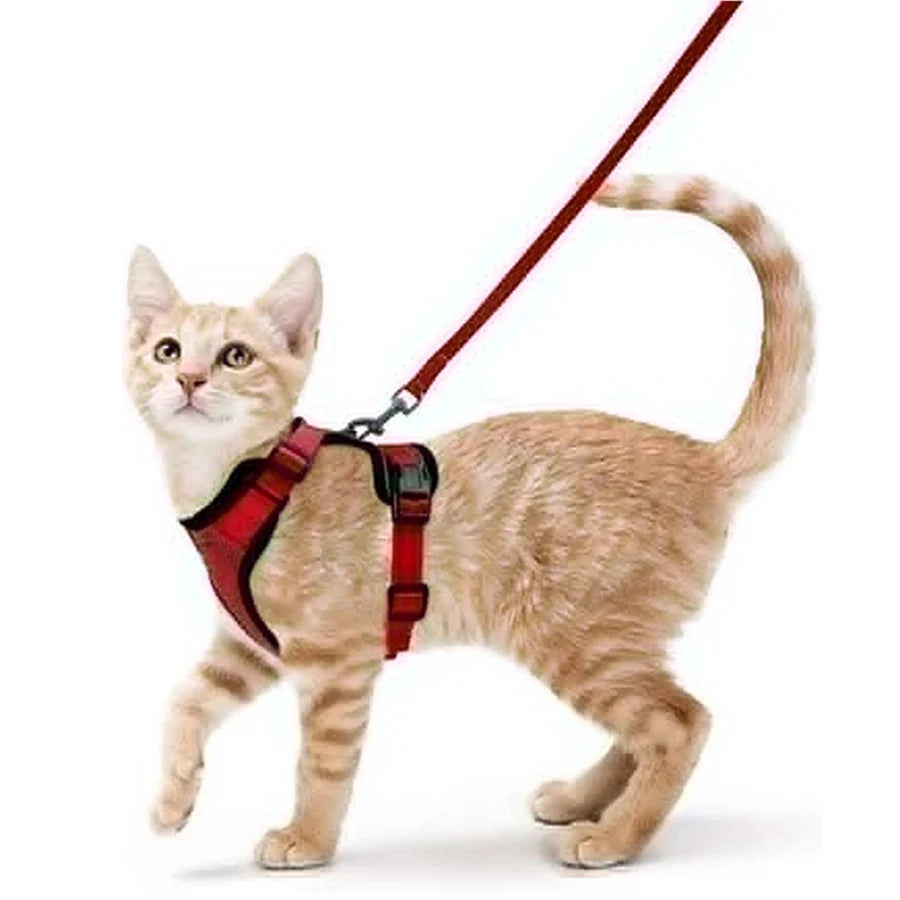 ✨ EasyControl Cat Harness – Soft Adjustable Escape-Proof Walking Vest with Leash Mary's For You