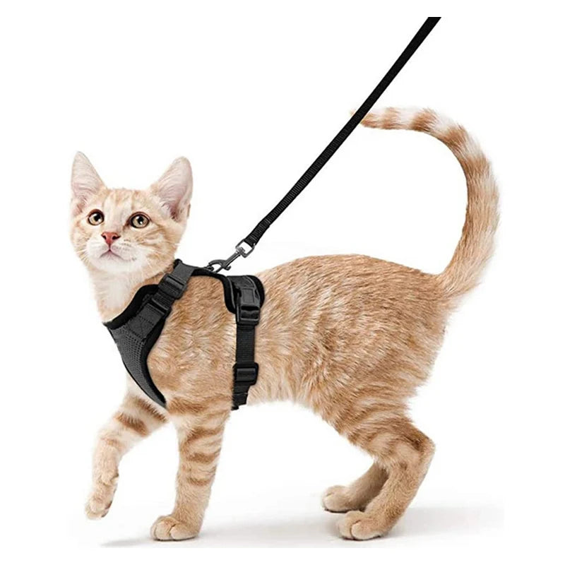 ✨ EasyControl Cat Harness – Soft Adjustable Escape-Proof Walking Vest with Leash Mary's For You