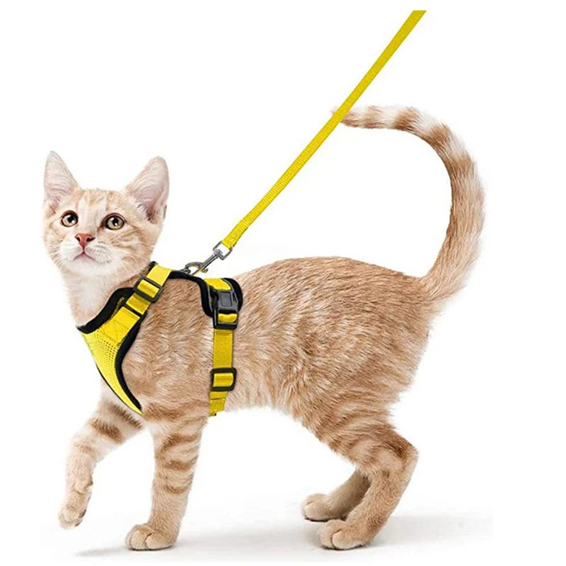 ✨ EasyControl Cat Harness – Soft Adjustable Escape-Proof Walking Vest with Leash Mary's For You
