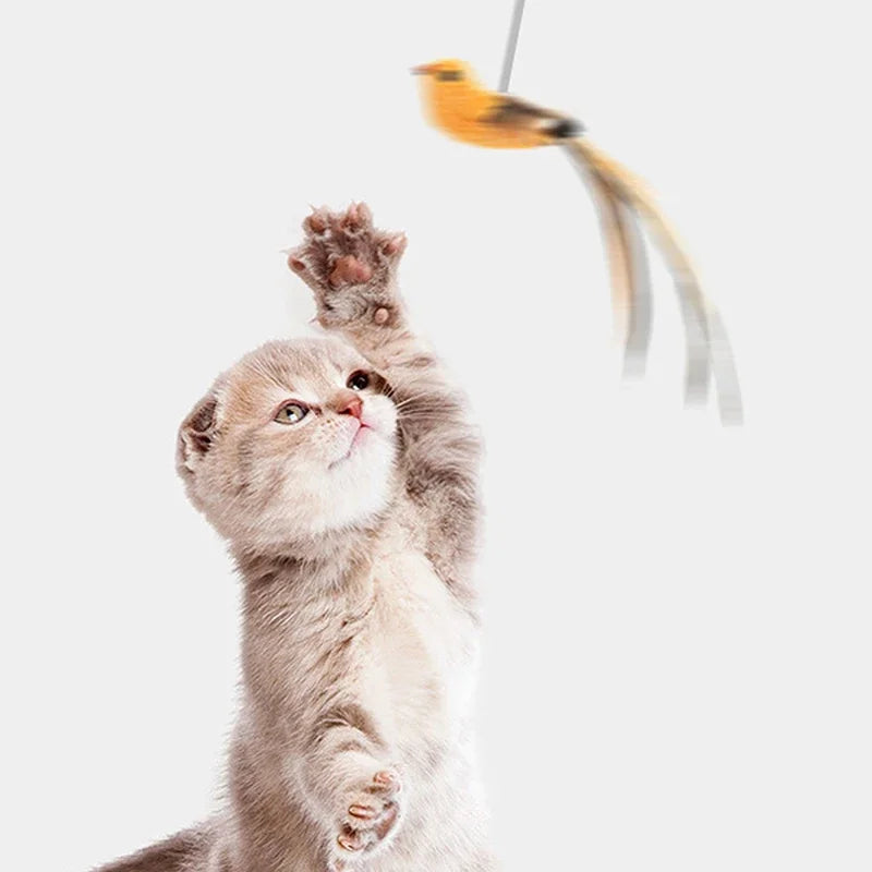 ✨ Simulated Bird Teaser Long Rod Feather Toy for Safe Cat Fun Mary's For You