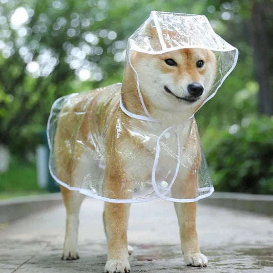 ✨ PawShield Transparent Raincoat – Waterproof Hooded Jacket for Small Dogs & Puppies Mary's For You