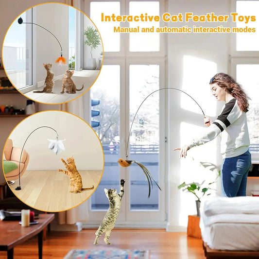✨ Simulated Bird Teaser  Long Rod Feather Toy for Safe Cat Fun Mary's For You