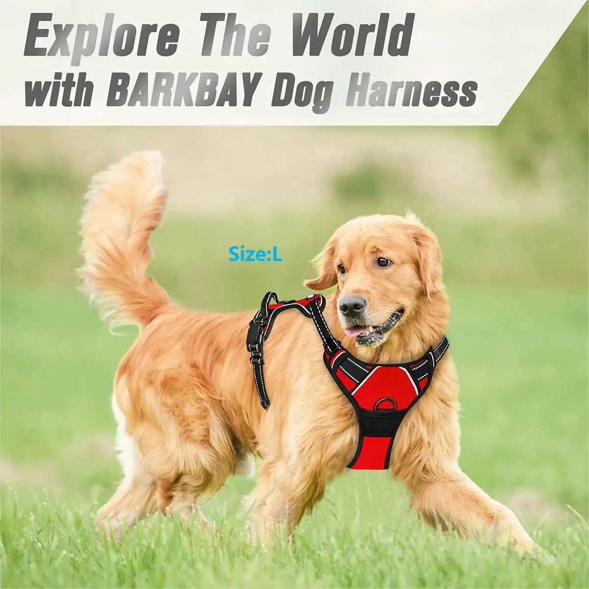 No Pull Dog Harness Front Clip Heavy Duty Reflective Easy Control Handle for Large Dog Walking Mary's For You