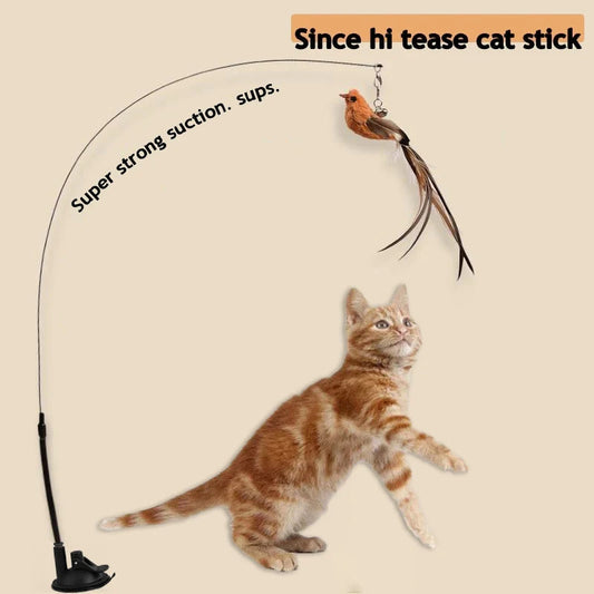 ✨ Simulated Bird Teaser  Long Rod Feather Toy for Safe Cat Fun Mary's For You