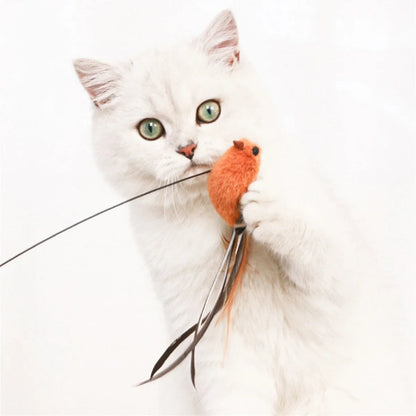 ✨ Simulated Bird Teaser  Long Rod Feather Toy for Safe Cat Fun Mary's For You