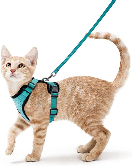 ✨ EasyControl Cat Harness – Soft Adjustable Escape-Proof Walking Vest with Leash Mary's For You