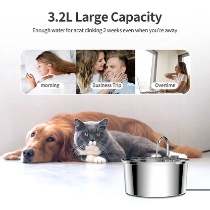 ✨ AquaPaw Stainless Steel Pet Fountain – Automatic USB Water Feeder for Cats & Dogs Mary's For You