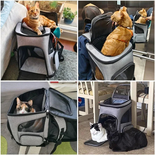✨ PawHaven Expandable Pet Carrier Backpack – Breathable & Foldable Travel Bag Mary's For You