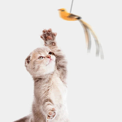 ✨ Simulated Bird Teaser  Long Rod Feather Toy for Safe Cat Fun Mary's For You